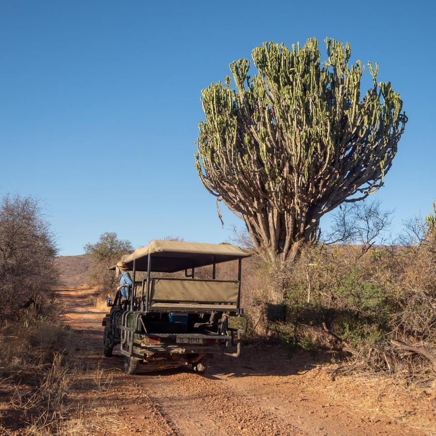Itaga Luxury Private Game Lodge Bela-Bela Eksteriør billede